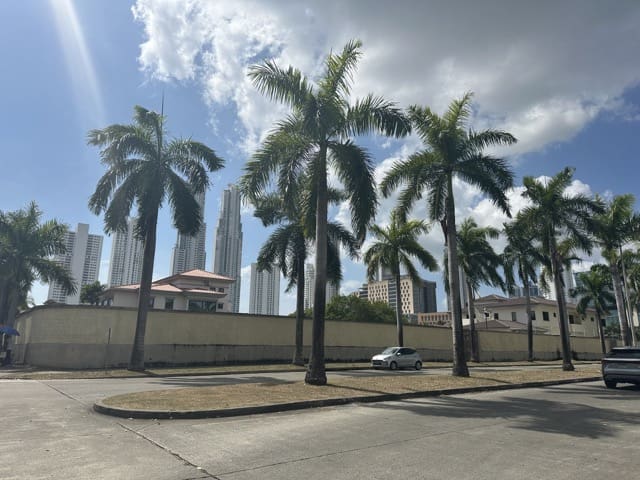 horizon avec palmiers costa del este panama city