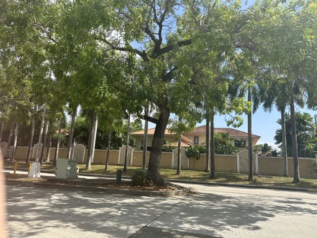 rue arborée de la ville de Costa del Este Panama