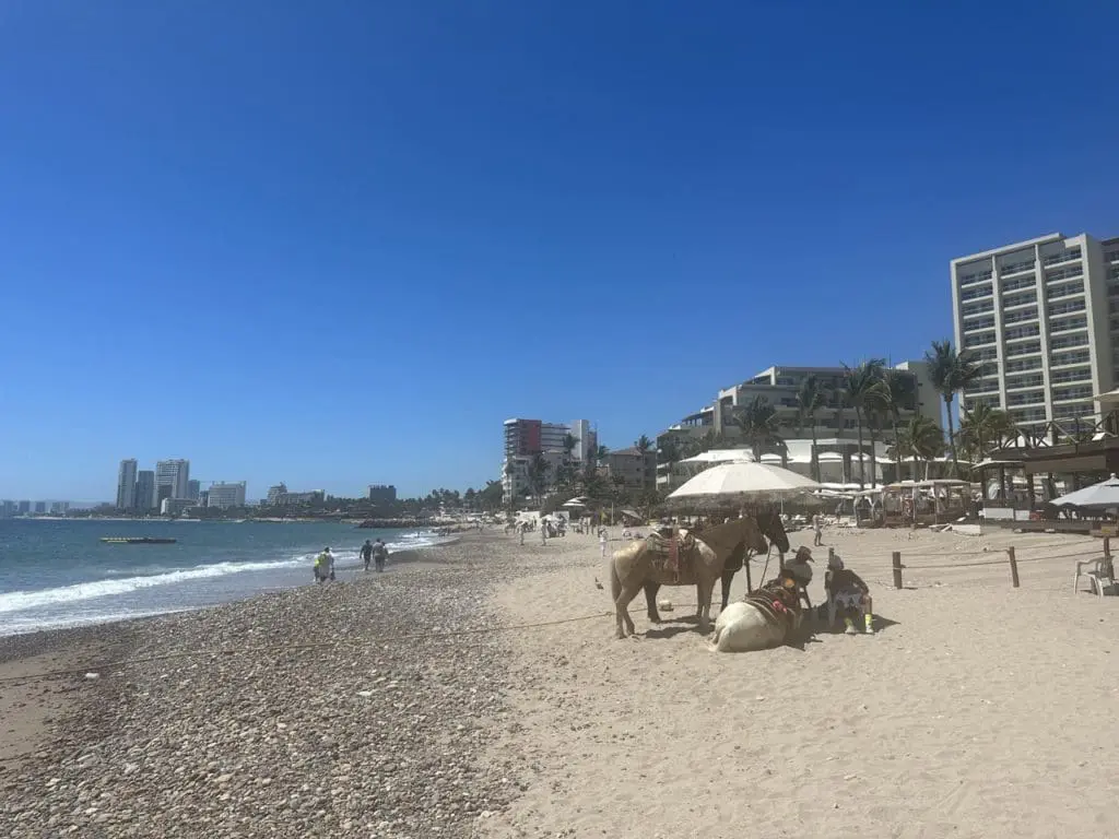 plage Zona Hotalera puerto vallarta