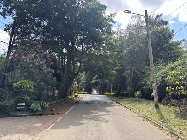 rue verdoyante à Westlands, Nairobi