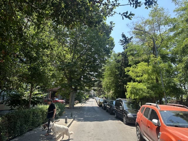 belle rue verte à moda, istanbul